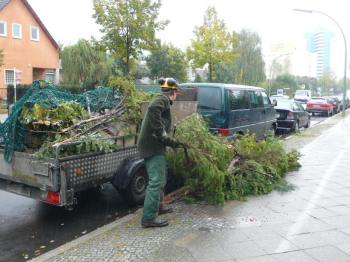 Baumfäller